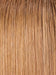 14/26S10 SHADED PRALINES N' CRÈME | Medium Natural Ash Blonde and Medium Red Gold Blonde Blend, Shaded with Light Brown