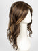 6F27 CARAMEL RIBBON | Dark Brown with Light Red-Gold Blonde Highlights and Tips