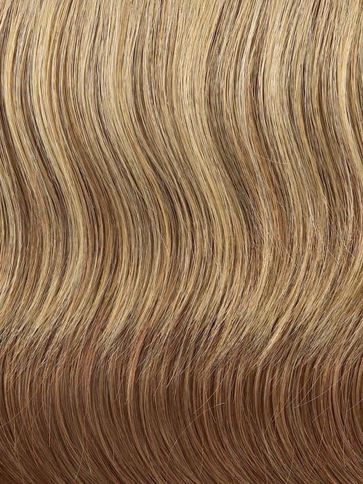 22 inch Hair Extensions 22 Fineline Straight Extension Kit by Hairdo R14/25 Honey Ginger